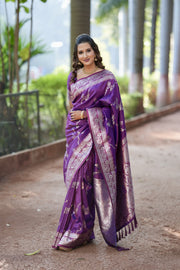 Premium Banarasi Soft Silk Sarees with silver zari jaal