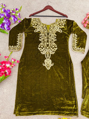 Beautiful Embroidery Velvet 2 pcs set