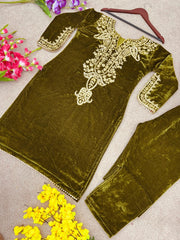 Beautiful Embroidery Velvet 2 pcs set