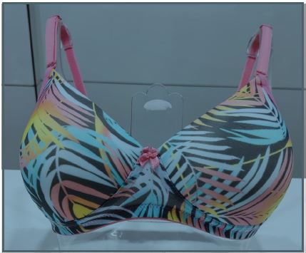 Scan - Printed BRA - Coral